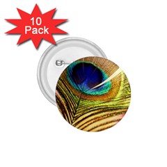 Peacock Feather Colorful Peacock 1 75  Buttons (10 Pack)