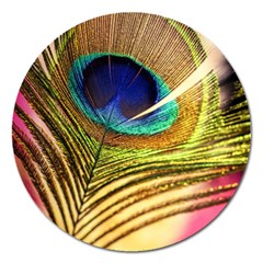 Peacock Feather Colorful Peacock Magnet 5  (round) by Pakrebo