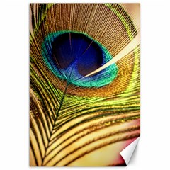 Peacock Feather Colorful Peacock Canvas 20  X 30  by Pakrebo