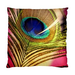 Peacock Feather Colorful Peacock Standard Cushion Case (two Sides) by Pakrebo