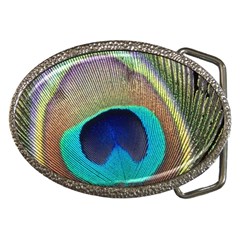 Peacock Feather Close Up Macro Belt Buckles by Pakrebo