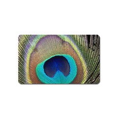 Peacock Feather Close Up Macro Magnet (name Card) by Pakrebo