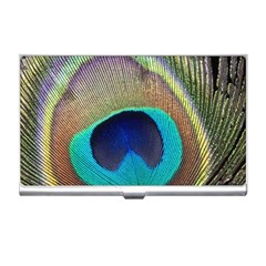 Peacock Feather Close Up Macro Business Card Holder by Pakrebo