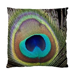 Peacock Feather Close Up Macro Standard Cushion Case (two Sides) by Pakrebo