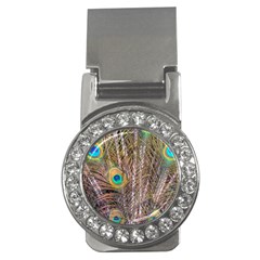 Pen Peacock Wheel Plumage Colorful Money Clips (CZ) 