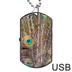 Pen Peacock Wheel Plumage Colorful Dog Tag USB Flash (One Side)