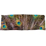 Pen Peacock Wheel Plumage Colorful Body Pillow Case (Dakimakura) Body Pillow Case