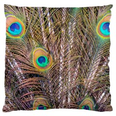 Pen Peacock Wheel Plumage Colorful Large Cushion Case (Two Sides)