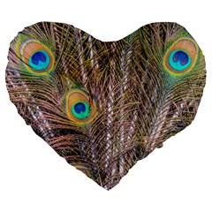 Pen Peacock Wheel Plumage Colorful Large 19  Premium Heart Shape Cushions