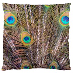 Pen Peacock Wheel Plumage Colorful Standard Flano Cushion Case (One Side)