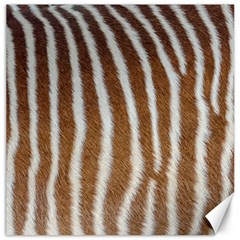 Skin Zebra Striped White Brown Canvas 12  X 12  by Pakrebo