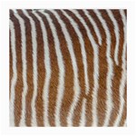 Skin Zebra Striped White Brown Medium Glasses Cloth (2-Side) Back