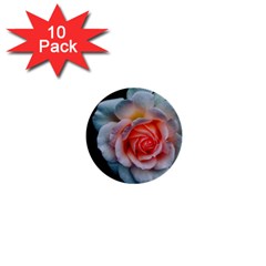 Favorite Rose  1  Mini Buttons (10 Pack) 