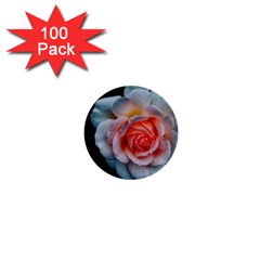 Favorite Rose  1  Mini Buttons (100 Pack) 