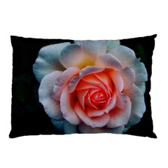 Favorite Rose  Pillow Case by okhismakingart