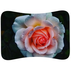 Favorite Rose  Velour Seat Head Rest Cushion