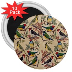 Vintage Birds 3  Magnets (10 Pack) 