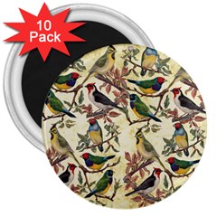 Vintage Birds 3  Magnets (10 Pack)  by Valentinaart