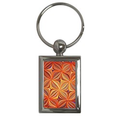 Electric Field Art Xlvi Key Chains (rectangle)  by okhismakingart