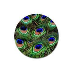 Peacock Feathers Magnet 3  (round) by snowwhitegirl