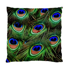 Peacock Feathers Standard Cushion Case (one Side)