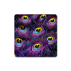 Peacock Feathers Purple Square Magnet