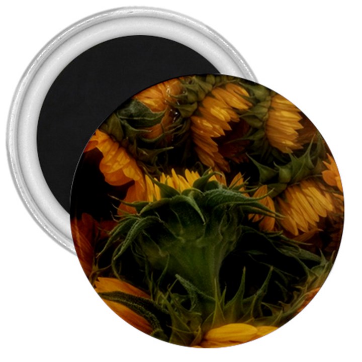 Bunch of Sunflowers 3  Magnets