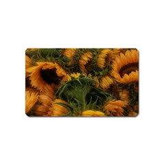 Bunch Of Sunflowers Magnet (name Card) by okhismakingart