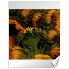 Bunch Of Sunflowers Canvas 12  X 16 