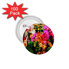 Orchids in the Market 1.75  Buttons (100 pack) 