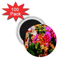 Orchids in the Market 1.75  Magnets (100 pack) 