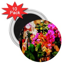 Orchids in the Market 2.25  Magnets (10 pack) 