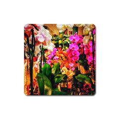 Orchids in the Market Square Magnet