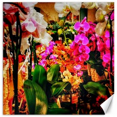 Orchids in the Market Canvas 20  x 20 