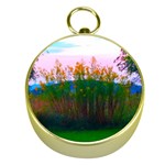 Field of Goldenrod Gold Compasses Front