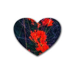 Neon Orange Butterfly Weed Heart Coaster (4 Pack)  by okhismakingart