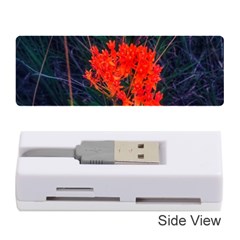 Neon Orange Butterfly Weed Memory Card Reader (stick) by okhismakingart