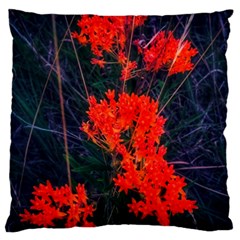 Neon Orange Butterfly Weed Large Flano Cushion Case (one Side) by okhismakingart