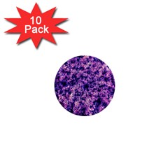 Queen Annes Lace In Purple And White 1  Mini Buttons (10 Pack)  by okhismakingart