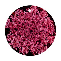 Queen Annes Lace In Red Part Ii Ornament (round) by okhismakingart