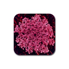 Queen Annes Lace In Red Part Ii Rubber Square Coaster (4 Pack)  by okhismakingart