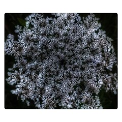 Queen Annes Lace In White Double Sided Flano Blanket (small)  by okhismakingart