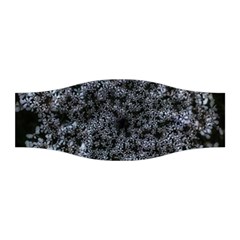 Queen Annes Lace In White Stretchable Headband by okhismakingart