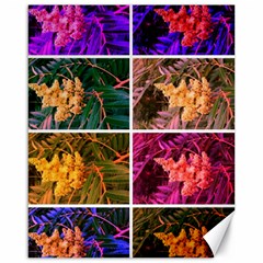 Sideways Sumac Collage Canvas 16  X 20  by okhismakingart