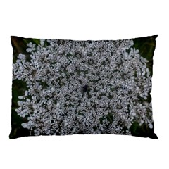 Queen Annes Lace Original Pillow Case by okhismakingart