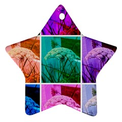 Color Block Queen Annes Lace Collage Ornament (star) by okhismakingart