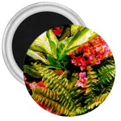 Fern Jungle 3  Magnets