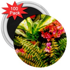 Fern Jungle 3  Magnets (100 Pack)