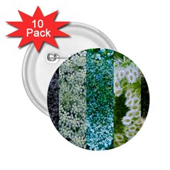 Queen Annes Lace Vertical Slice Collage 2 25  Buttons (10 Pack)  by okhismakingart