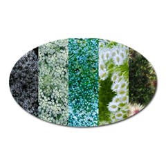 Queen Annes Lace Vertical Slice Collage Oval Magnet by okhismakingart